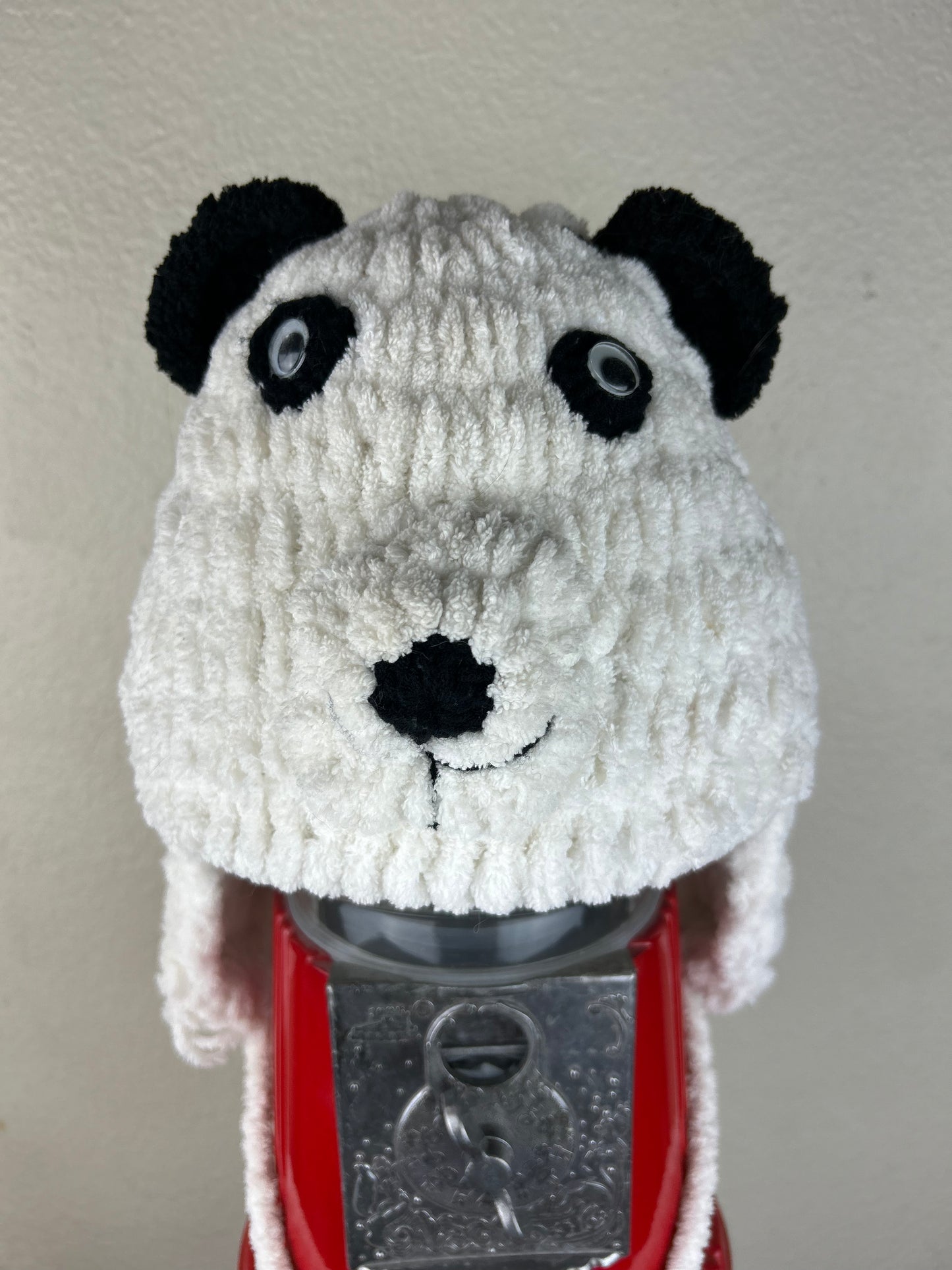 Googly Eyed Panda Beanie