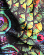 Peacock Problems Alien Ear Ski Mask