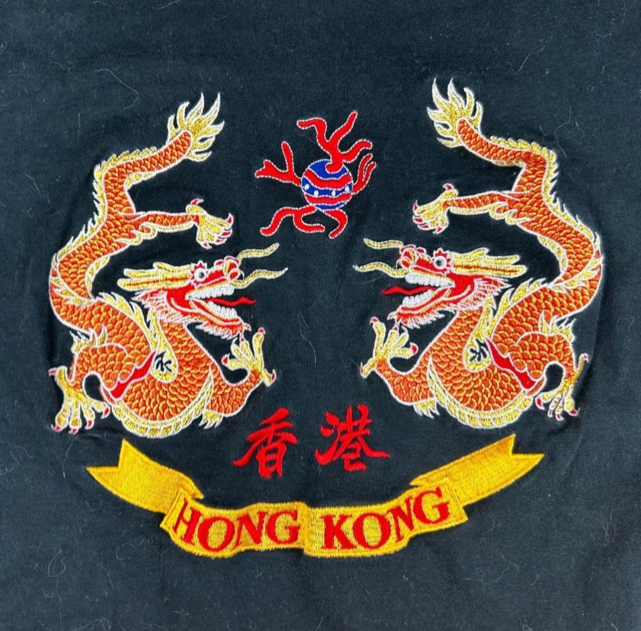 Upcycled Dragon Charm Crop