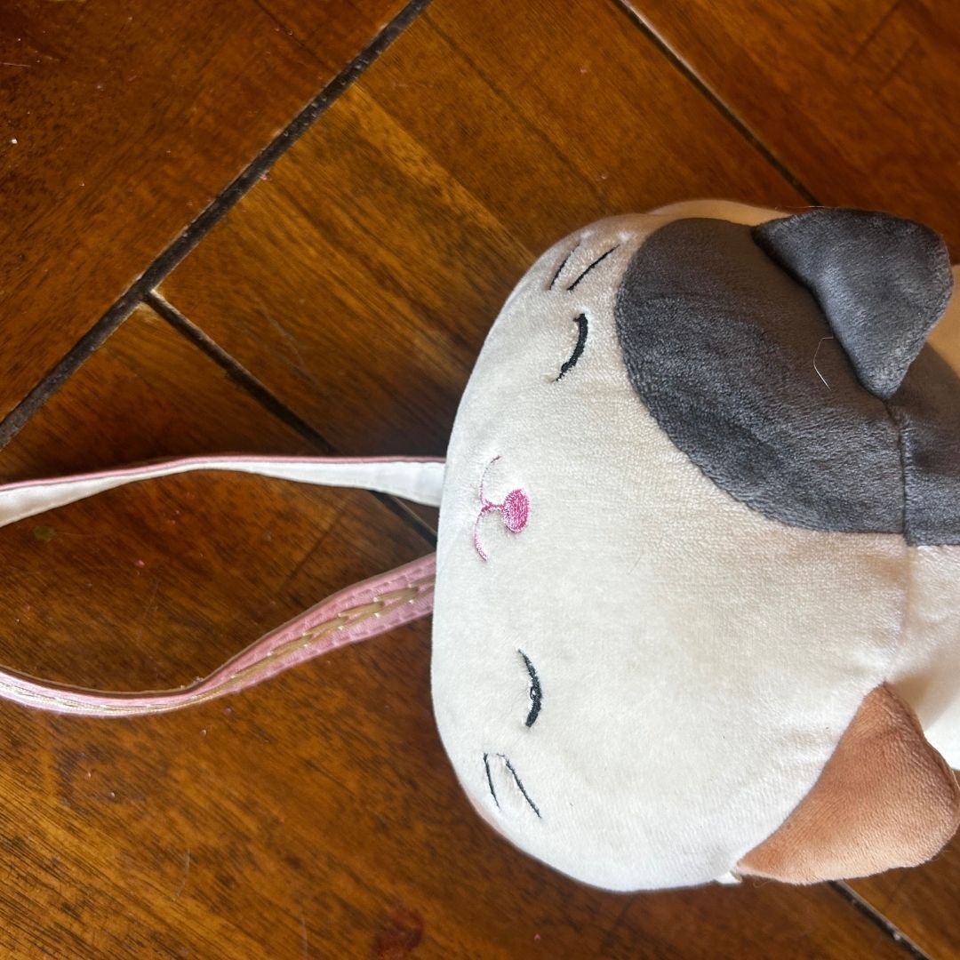 Cat Plush Crossbody Fanny Pack – Handmade & Upcycled Kitty Bag - The Modern Alien