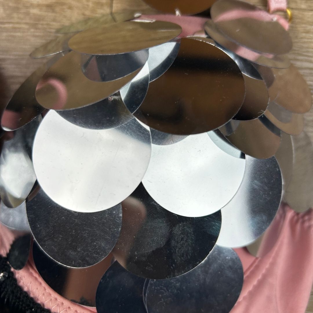 Disco Sequin Fringe Bra – Handmade & One - of - a - Kind - The Modern Alien