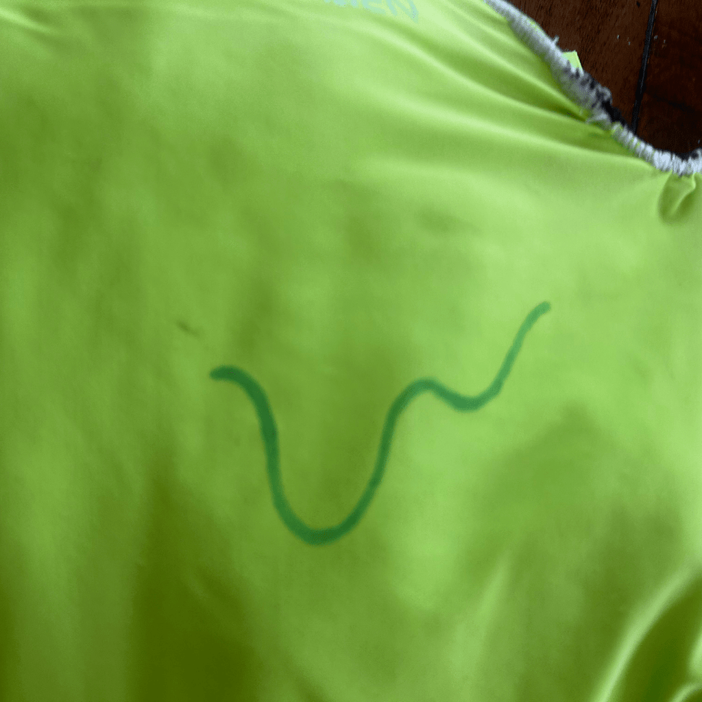 Slime Puffer Vest & Shorts Set – NYFW 2024 Exclusive - The Modern Alien